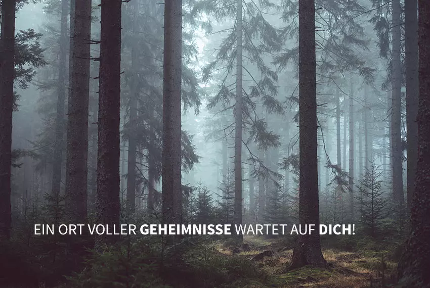 freizeit aktiviteat kassel